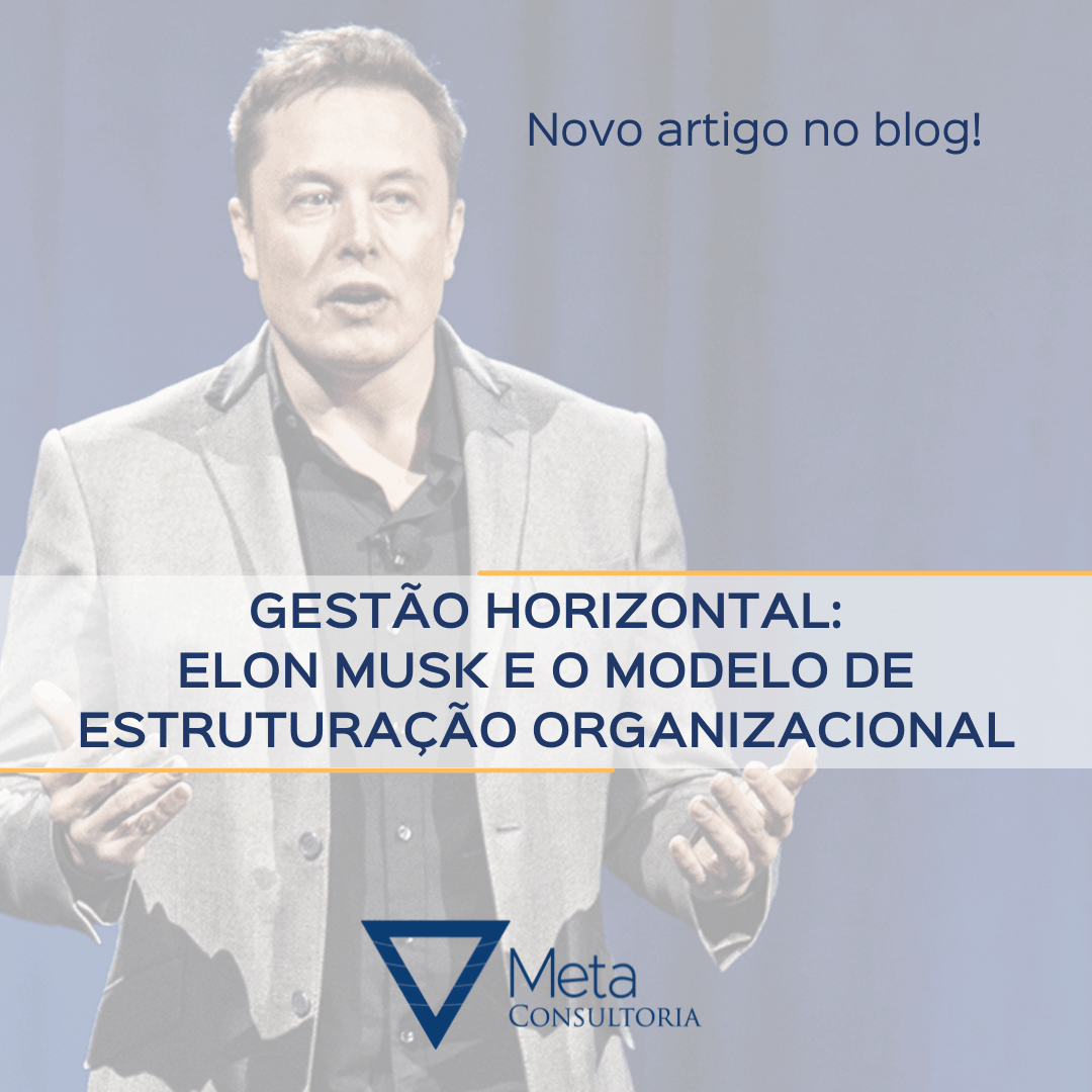 Elon Musk e Estruturação Organizacional